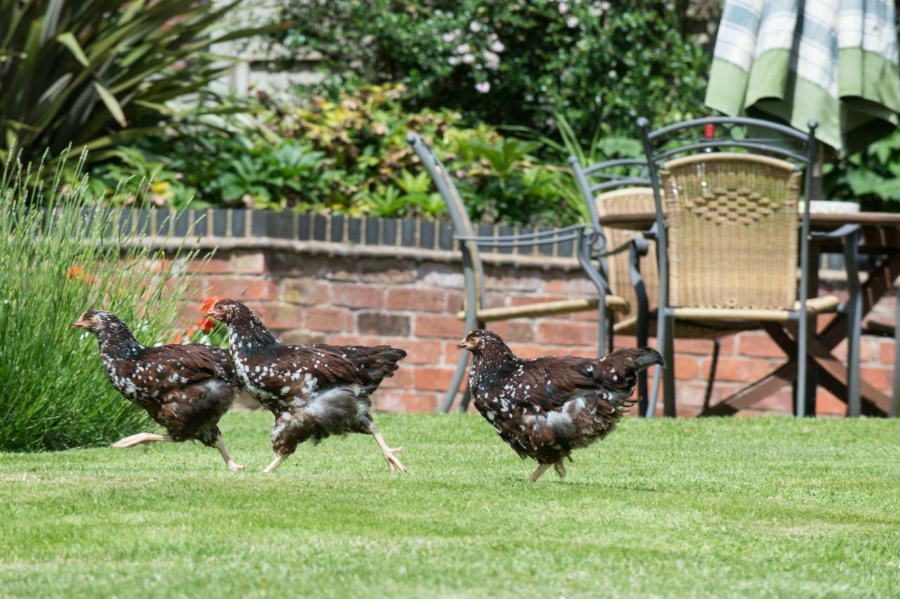 Moreton Hall Farm Bed and Breakfast Newport  Zewnętrze zdjęcie
